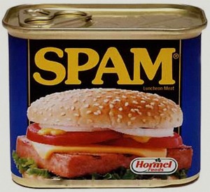 Spam is not a good SEO technique
