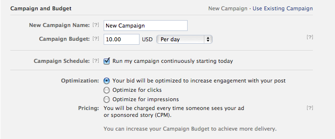 Facebook Ads Advanced Options Payment Options